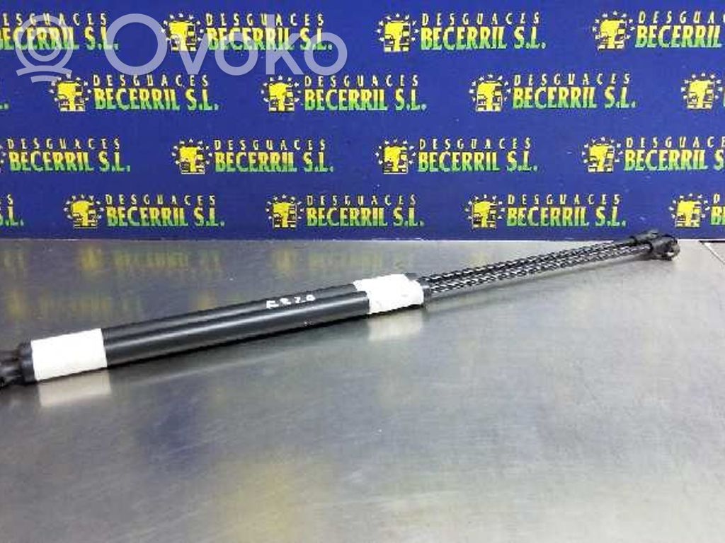 Tailgate/trunk strut/damper