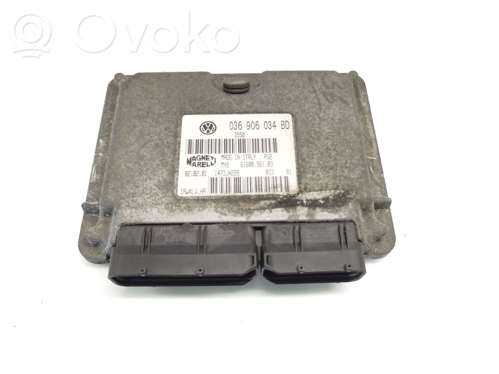 Engine control unit/module   036906034BD,6160056103