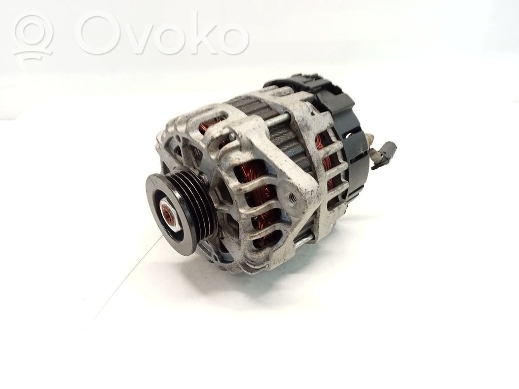Generator/alternator   96404263