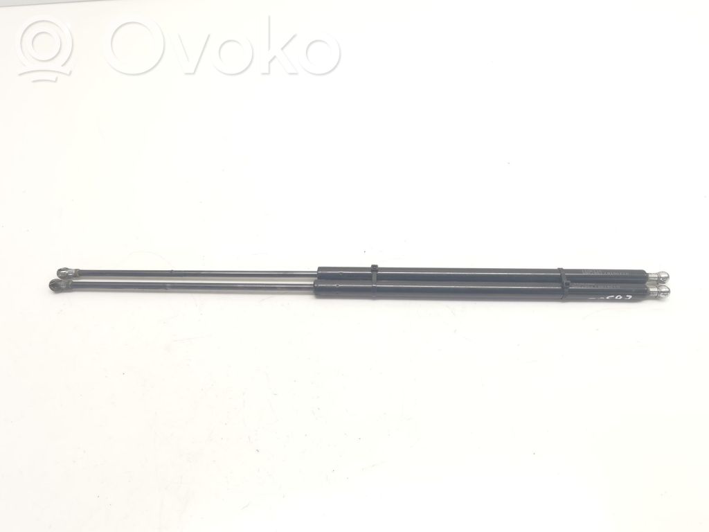 Tailgate/trunk strut/damper