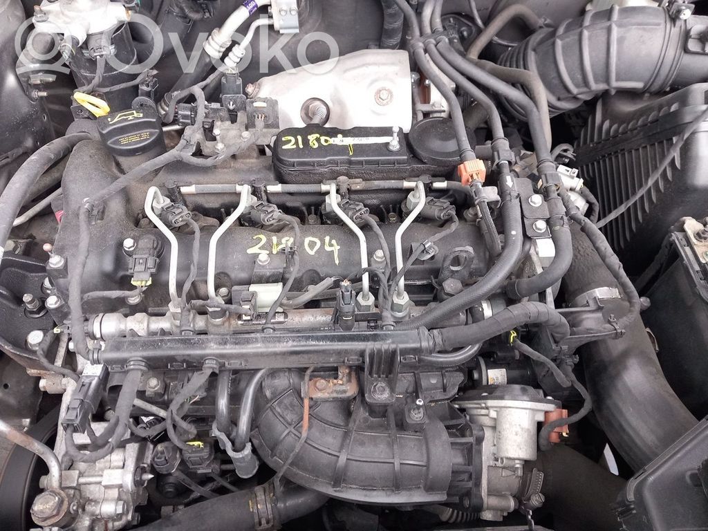 Motor   D4HB