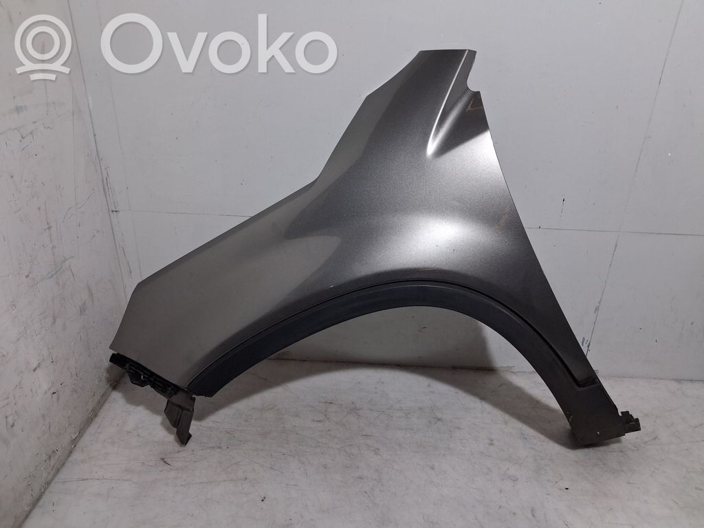 Guardabarro   663112P031