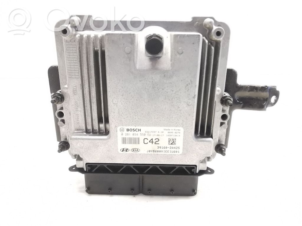 Engine control unit/module   391602A425,0281034550