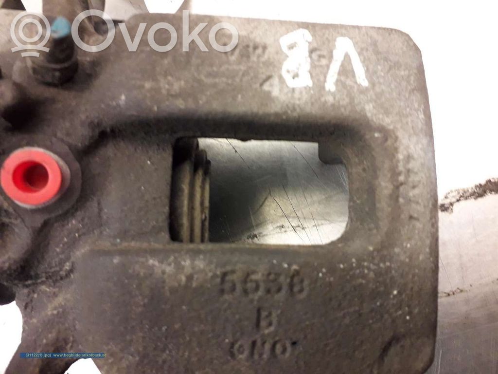 Takajarrusatula   VCR352