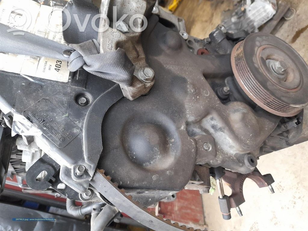 Moottori   RM7M5Q6006AA,1679684,DV6