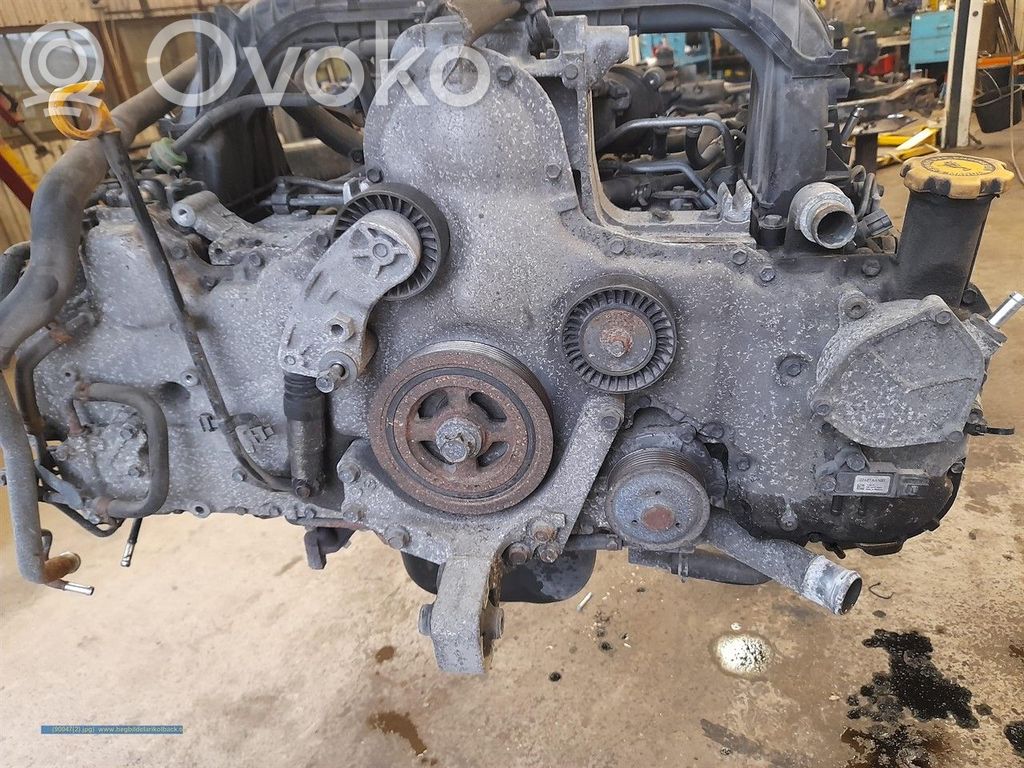 Variklis   EE20Z,11063AB611,10100BT370