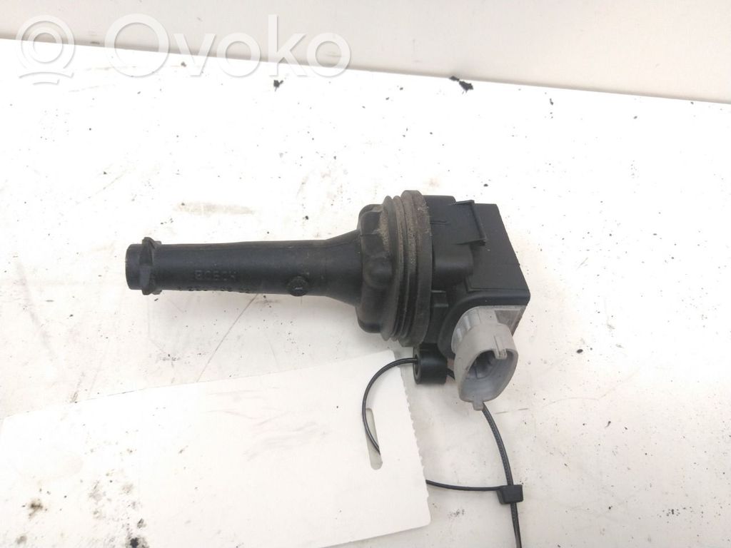 High voltage ignition coil   30713417