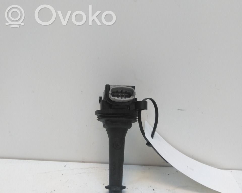 High voltage ignition coil