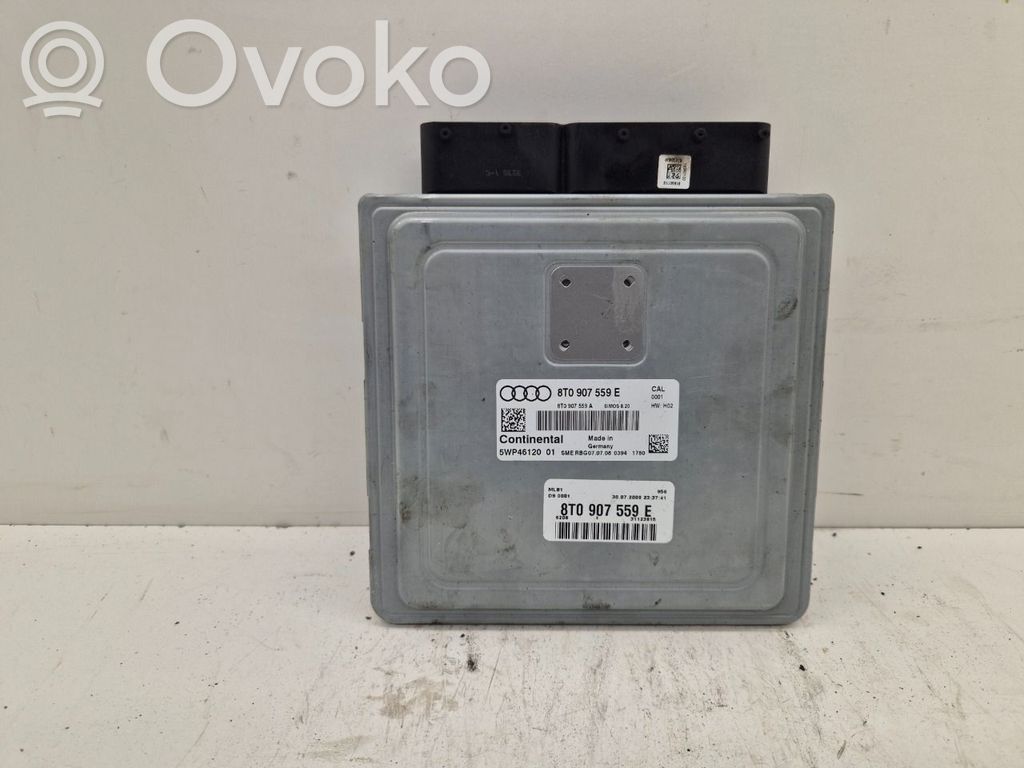 Injection control unit/module   8T0907559E