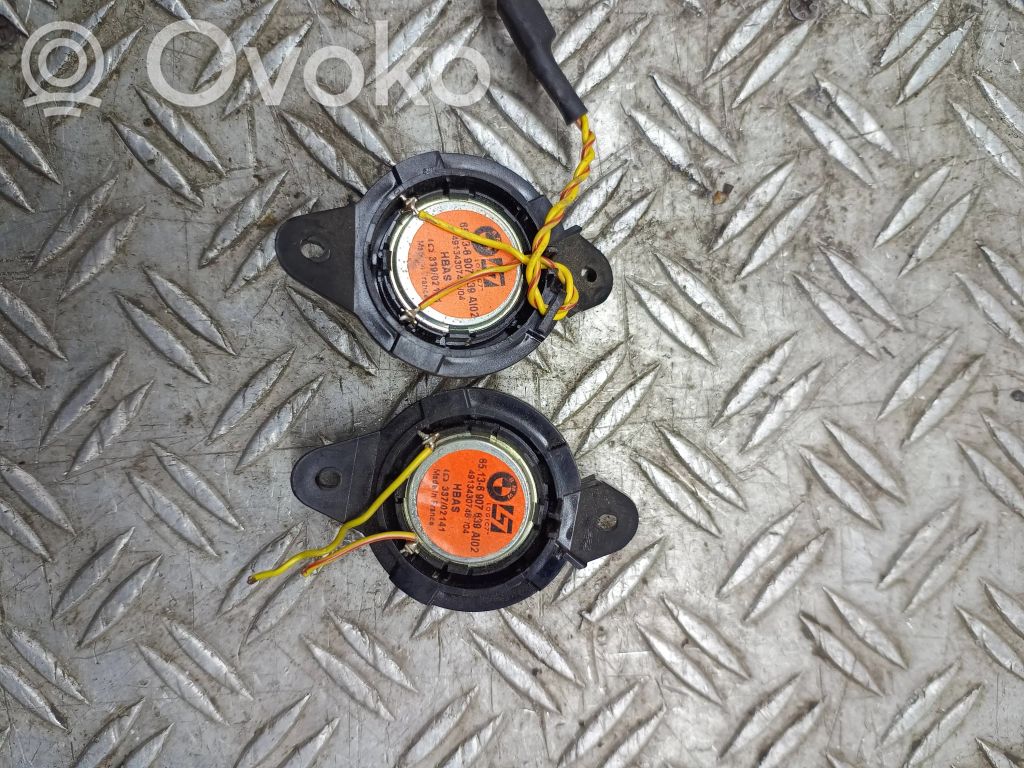 Altavoz de la puerta trasera   6907639,33702141