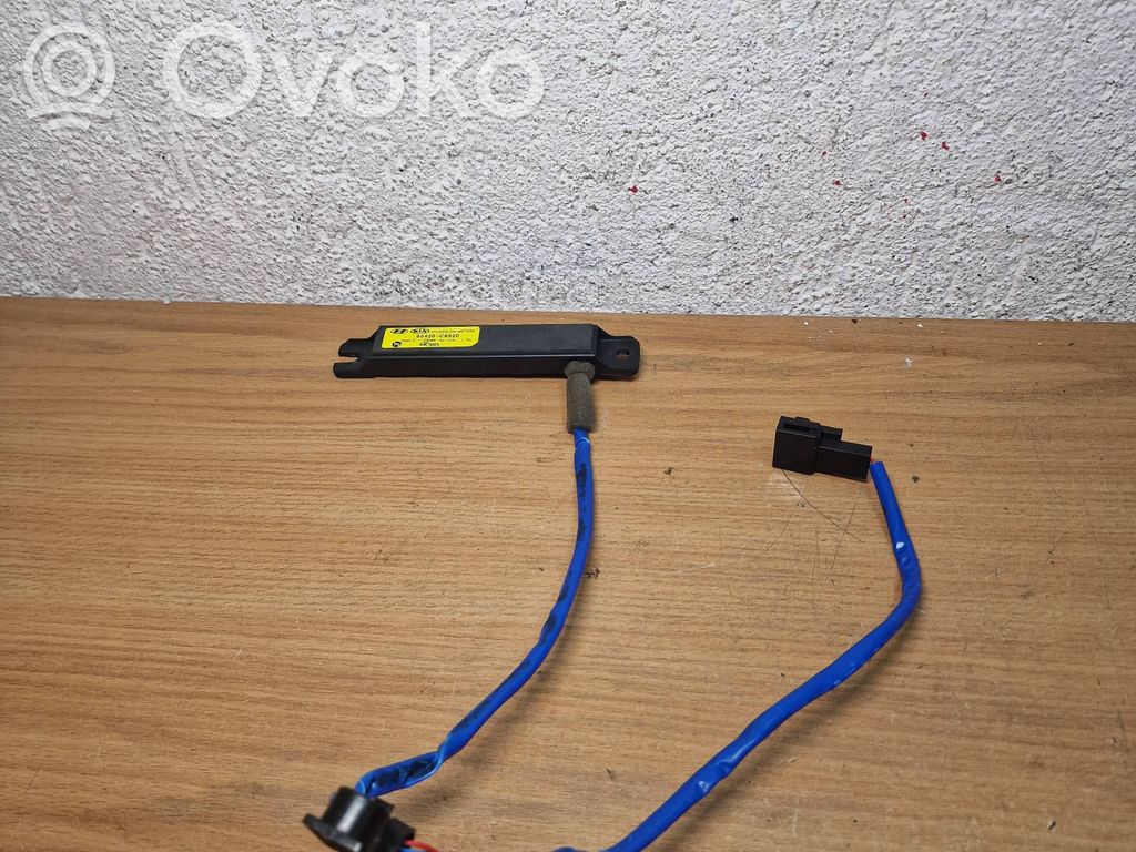 KIA Sorento Antena aérea cómodo interior 