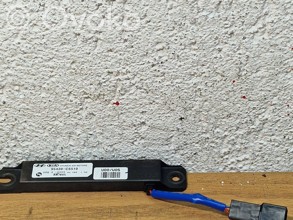 Autres unités de commande / modules   95420C6510