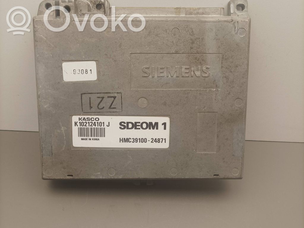 Hyundai Lantra I Engine control unit/module 