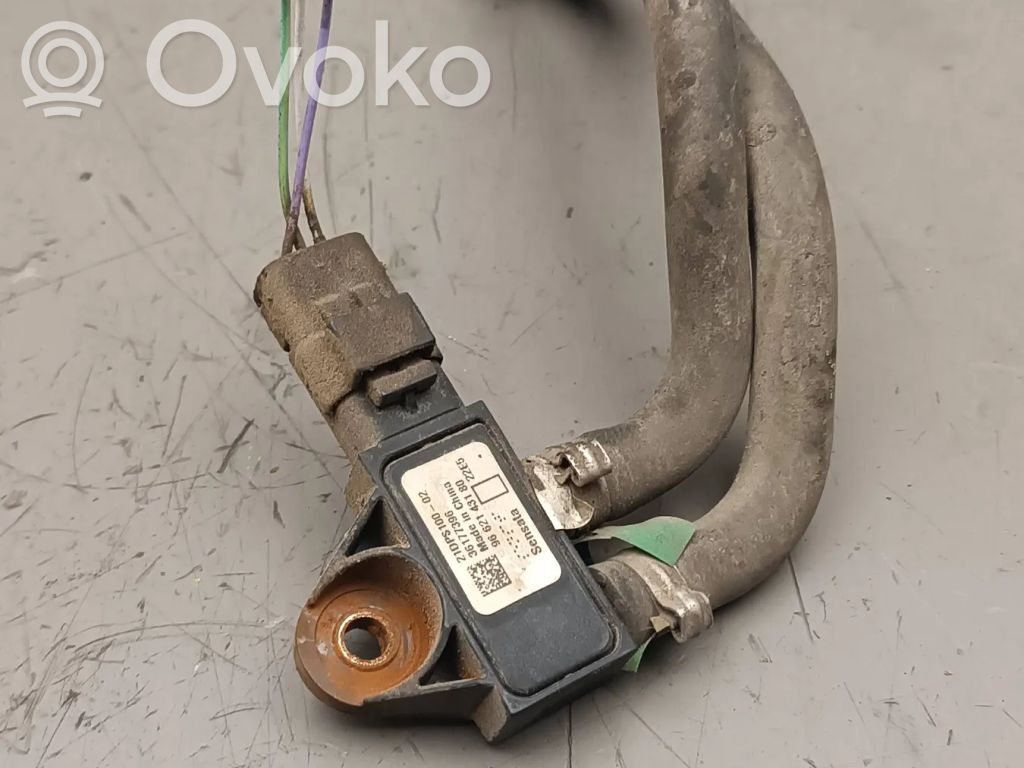 Luftdrucksensor   21DPS10002,36177396