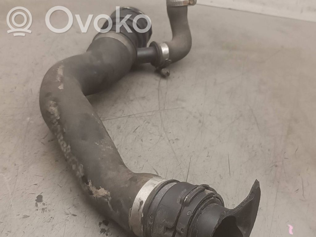 Engine coolant pipe/hose   3401563