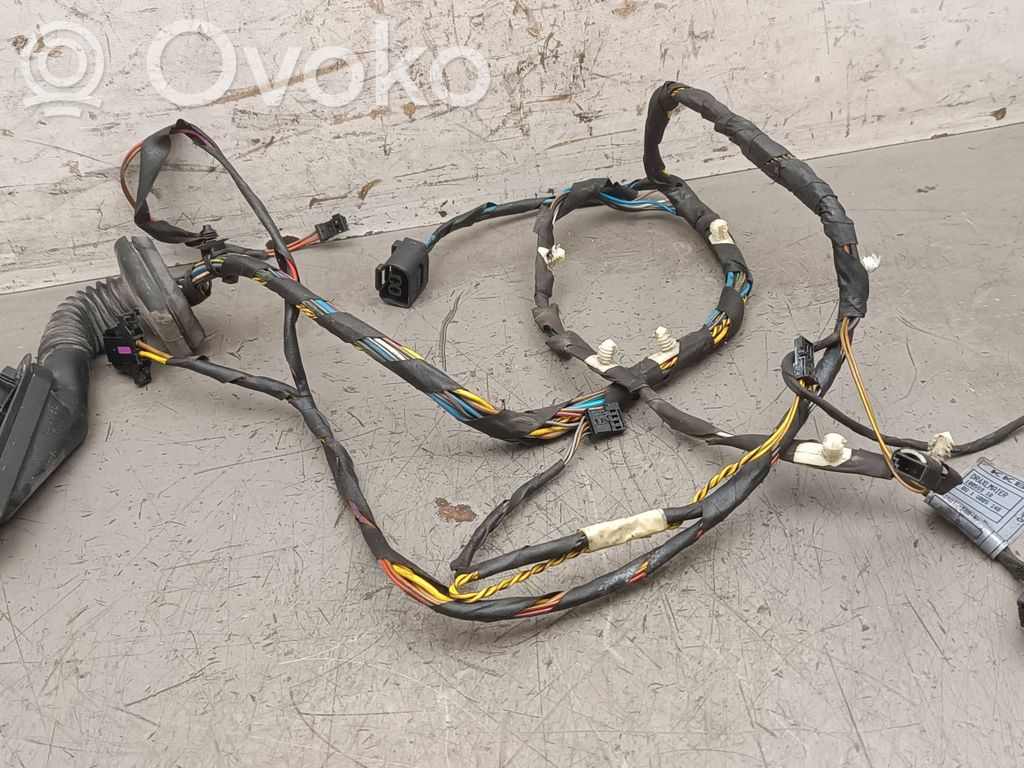 BMW X5 E53 Cableado de puerta trasera 