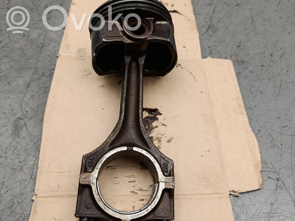 Piston with connecting rod   313,46X