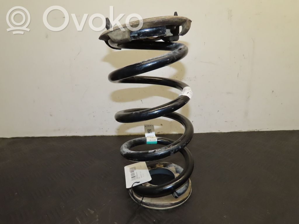 Rear coil spring   228847400A