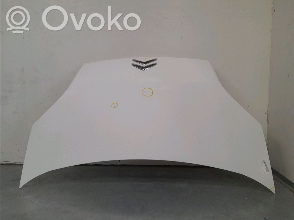 Dzinēja pārsegs (vāks)   7901Q1