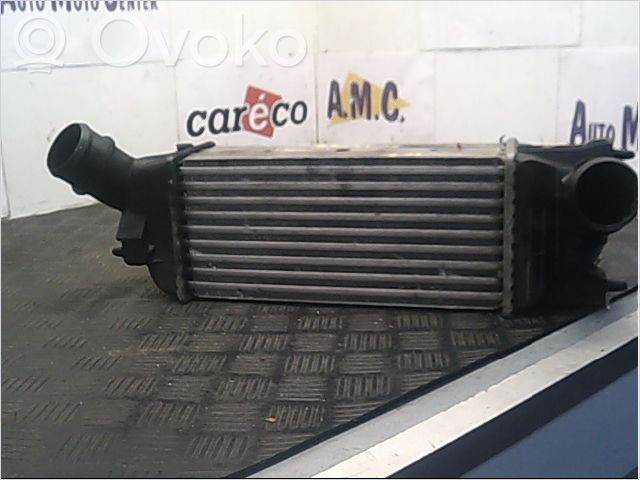 Peugeot 407 Intercooler radiator 