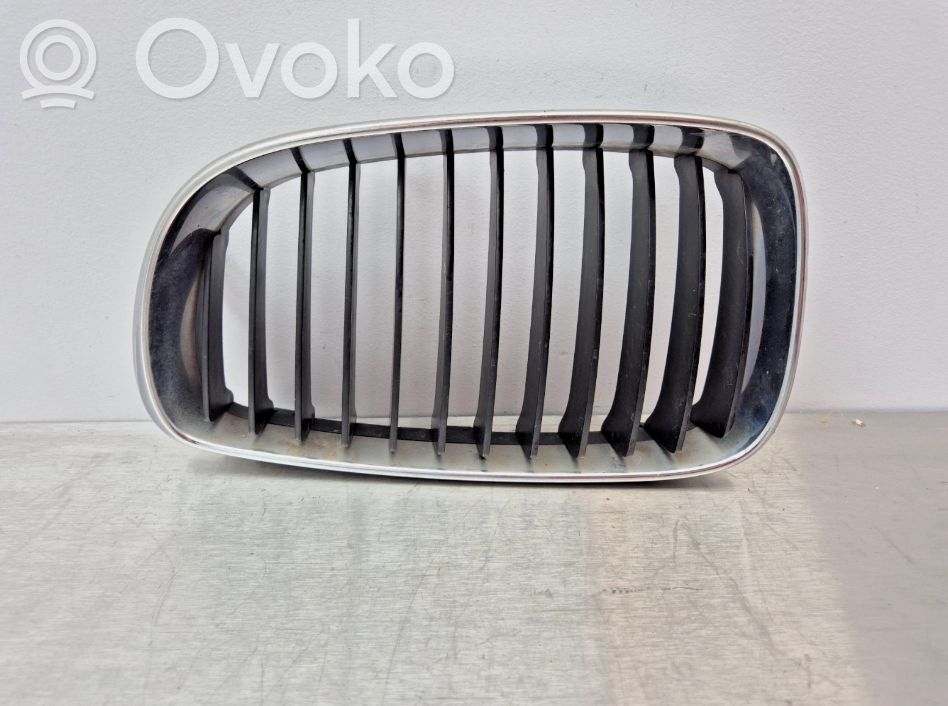Front bumper lower grill   51137166439,51137166439,51137166439,7166439