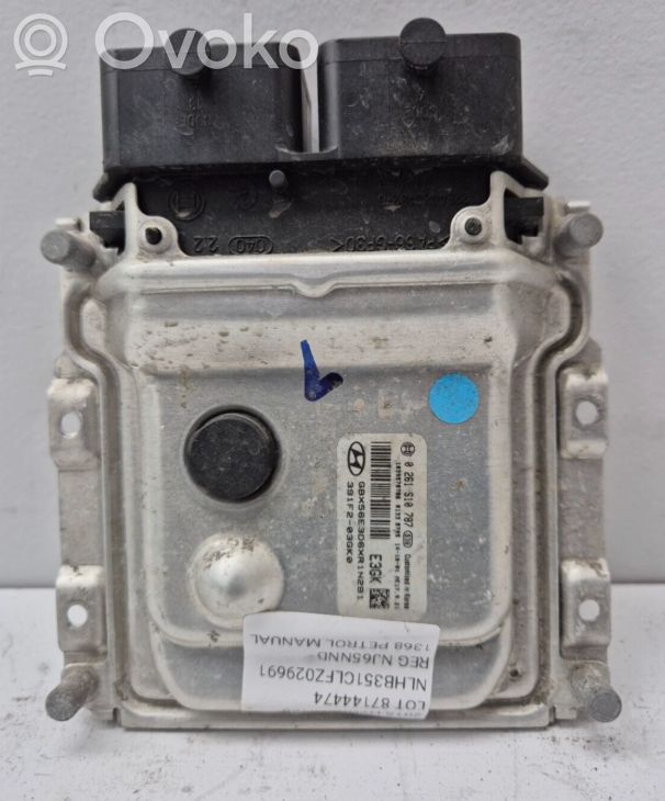 Engine control unit/module   391F203GK0,391F203GK0,0261S10787,391F203GK0