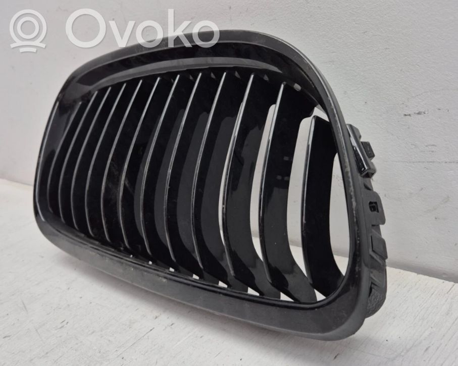 Kühlergrill   7201968,7201968,51137201968