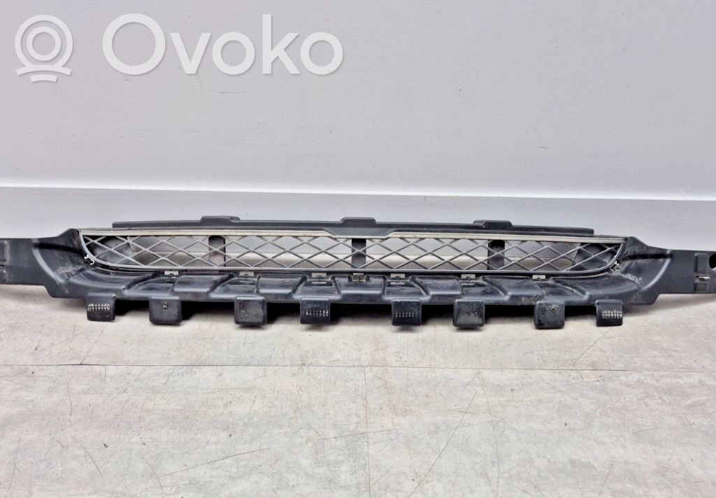 BMW X6 E71 Front bumper lower grill 