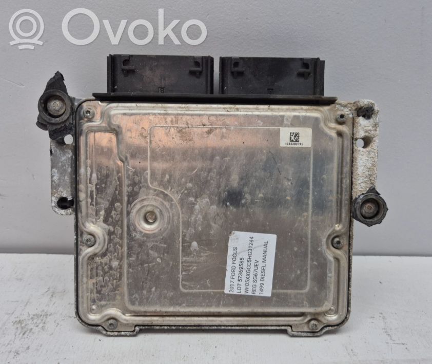 Ford Focus Engine control unit/module 