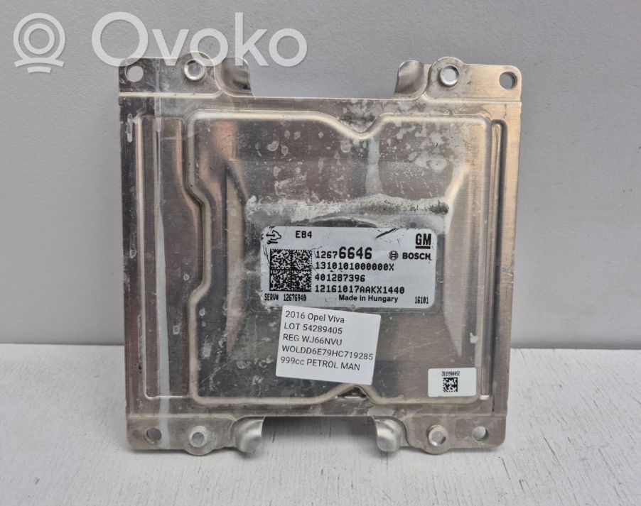Engine control unit/module   12676646,12676646,401287396,1310101000000X