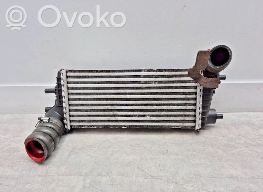 Intercooler radiator   BV619L440CE,BV619L440CE,BV619L440CE,BV619L440CE,FCC7A,Y2488004