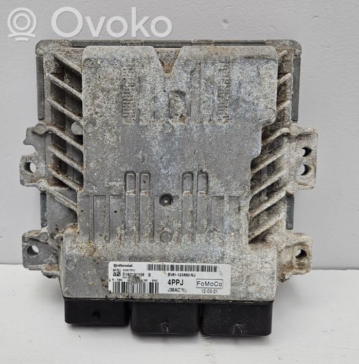 Ford Focus Engine control unit/module 