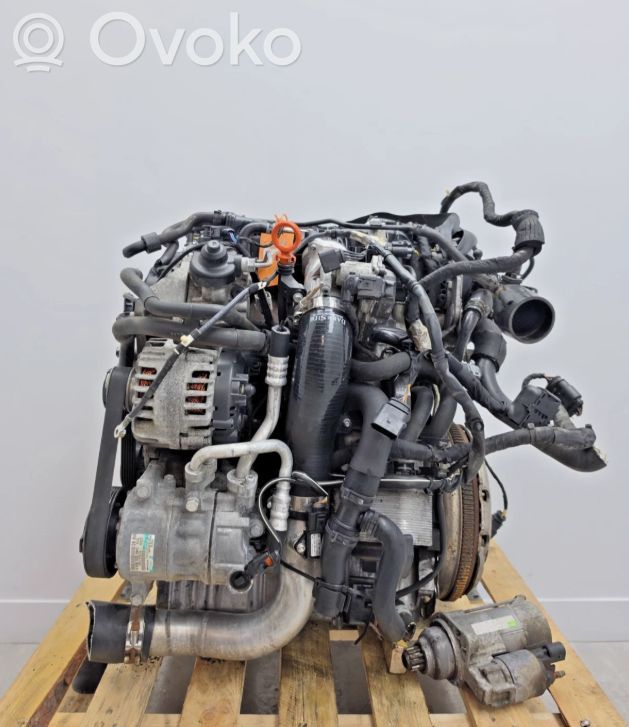 Skoda Octavia Mk2 (1Z) Variklis 