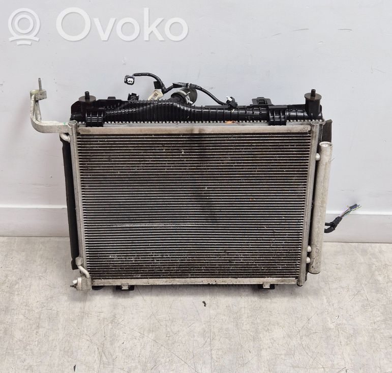 Ford Fiesta Wasserkühler Kühlerpaket 