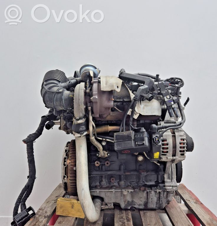 KIA Sportage Motor 