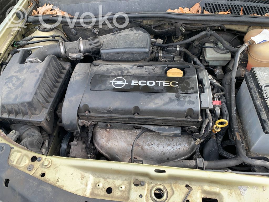 Variklis   Z16XEP