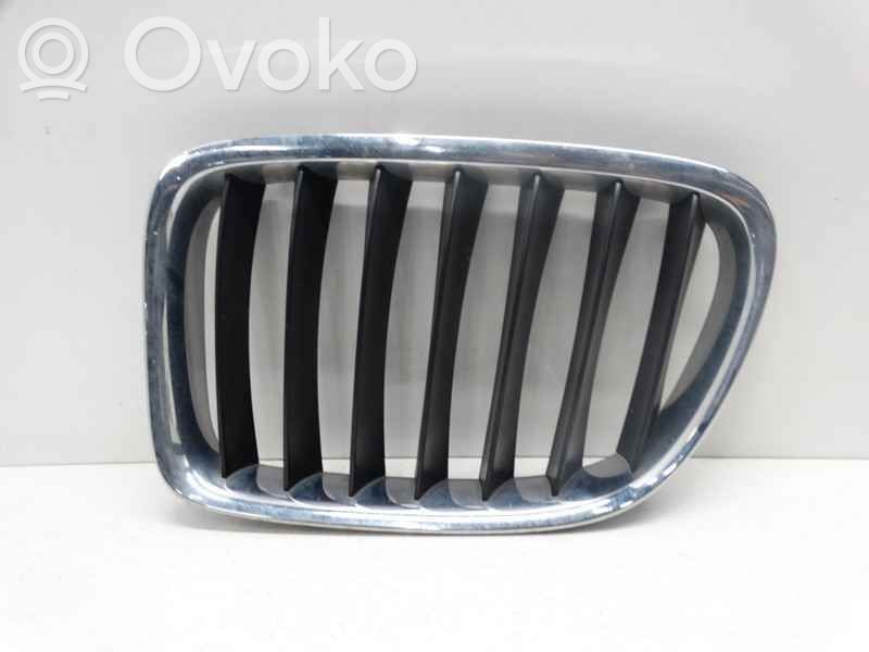 BMW X1 E84 Front grill 