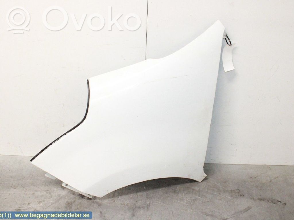 Fender   631013304R