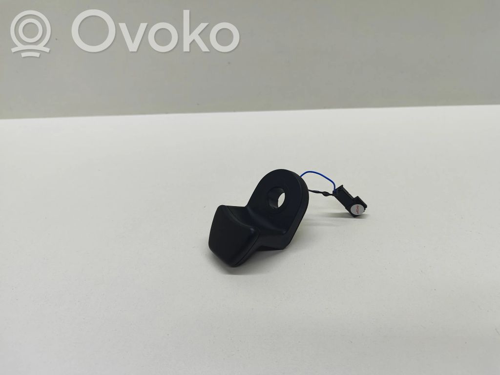 Tailgate glass/window release handle   9200673,59845510