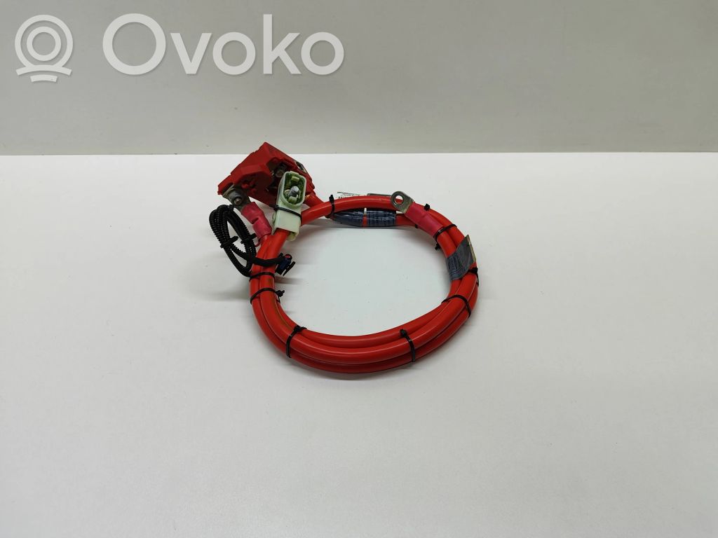 Positive cable (battery)   6989782,10304410,6989781,6971214,6971219