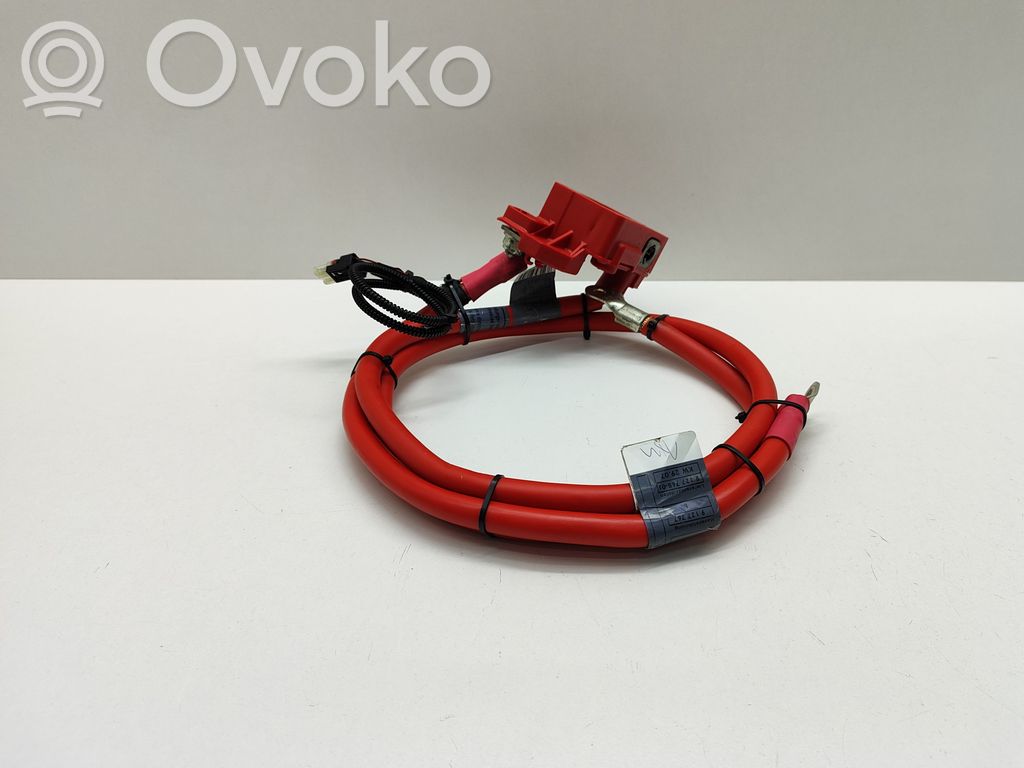 Pluskabel Batterie   6989782,6989781,698978202,10304410,9127767,9127768