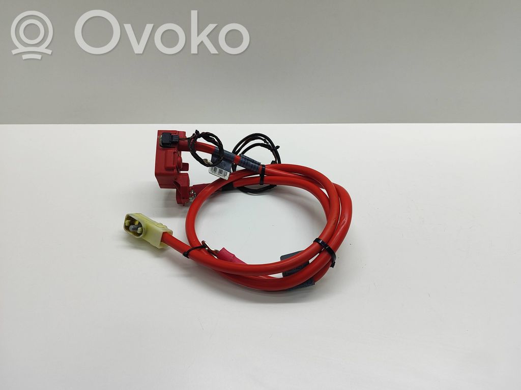 Positive cable (battery)   6989782,10304410,9127767,9127768,912776801