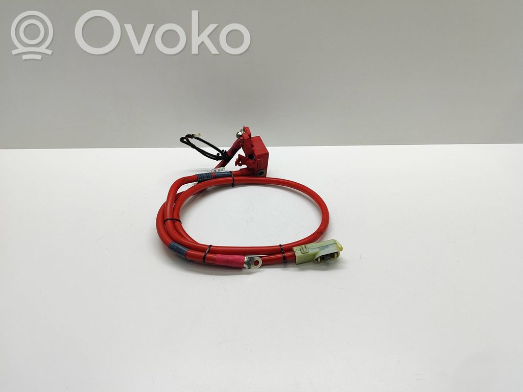 Cable positivo (batería)   6989781,6989782,698978202