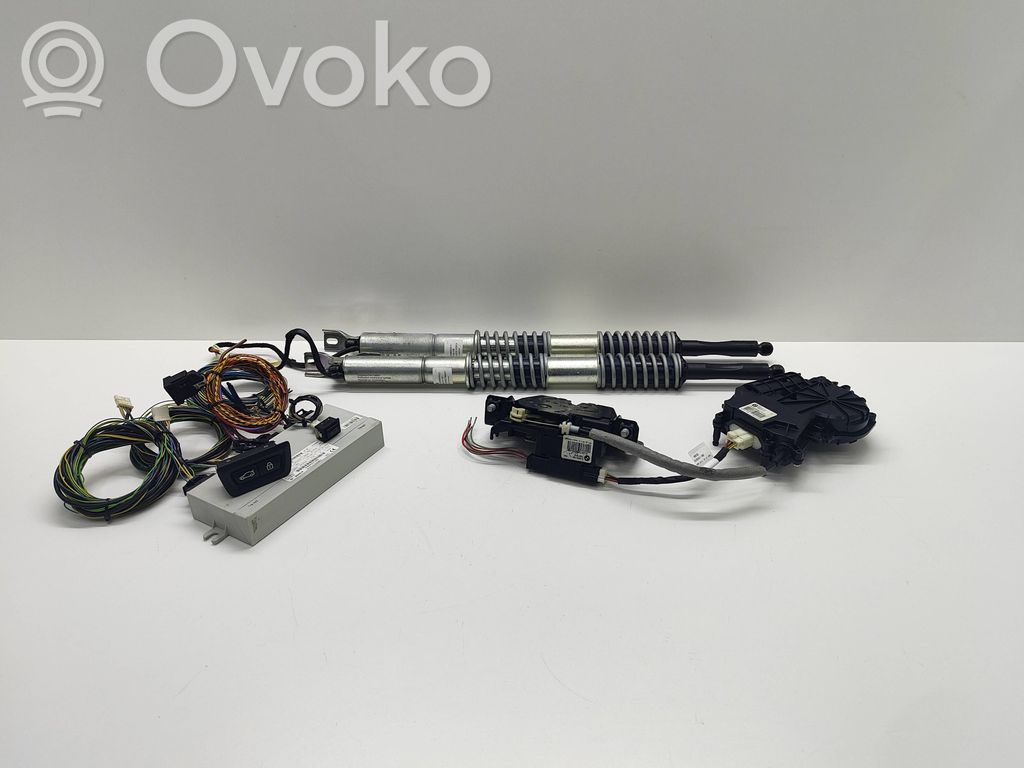 BMW 5 F10 F11 Pompa / Siłownik klapy tylnej bagażnika / Komplet 