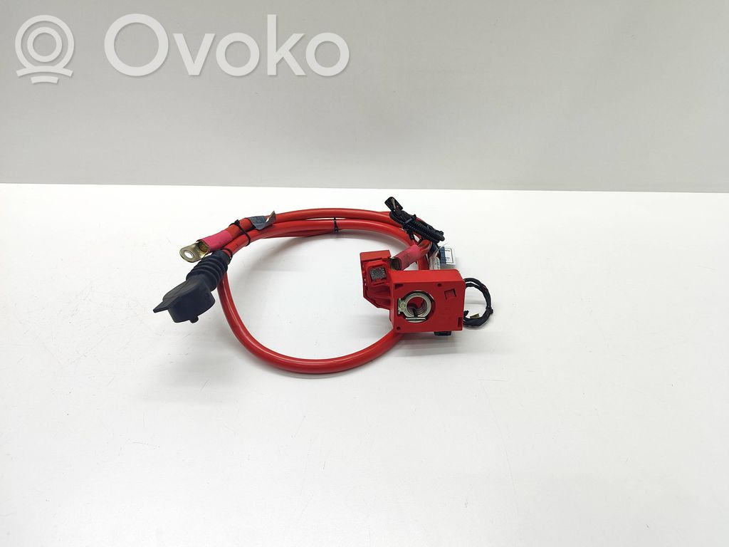 Cable positivo (batería)   6989781,6989782,698978202