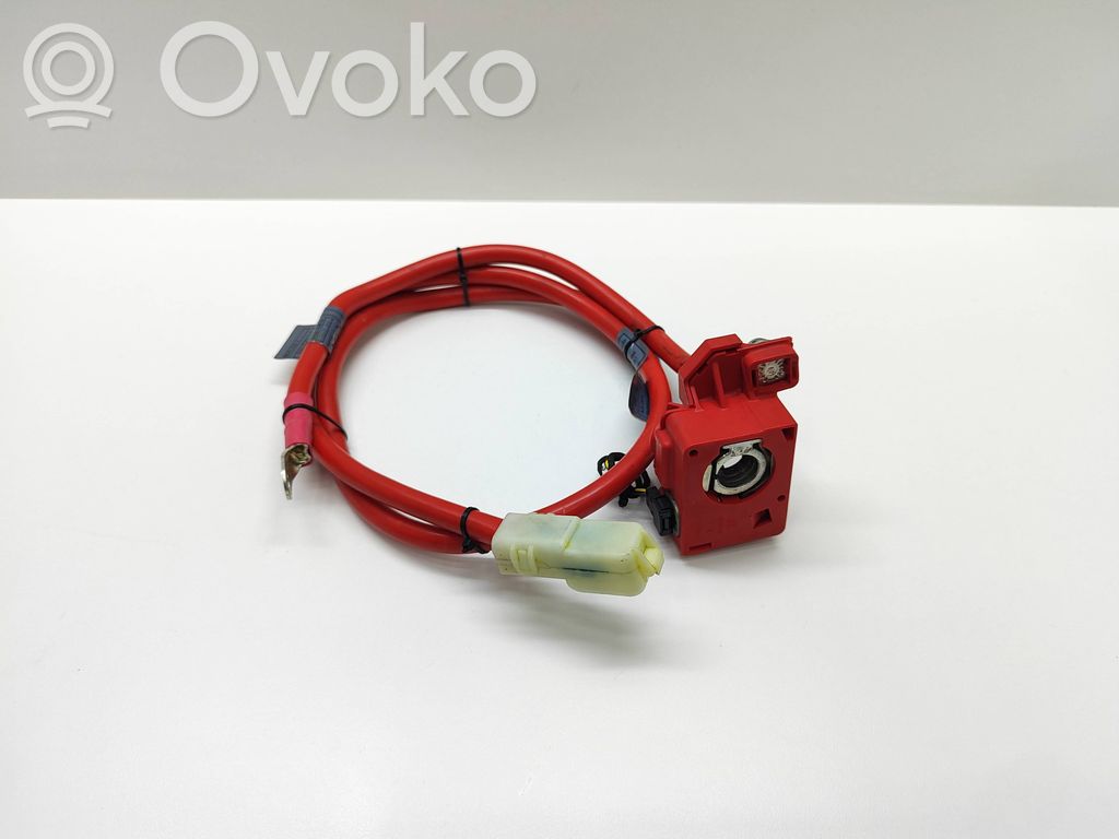 Positive cable (battery)   6989782,698978202,699782,9127767