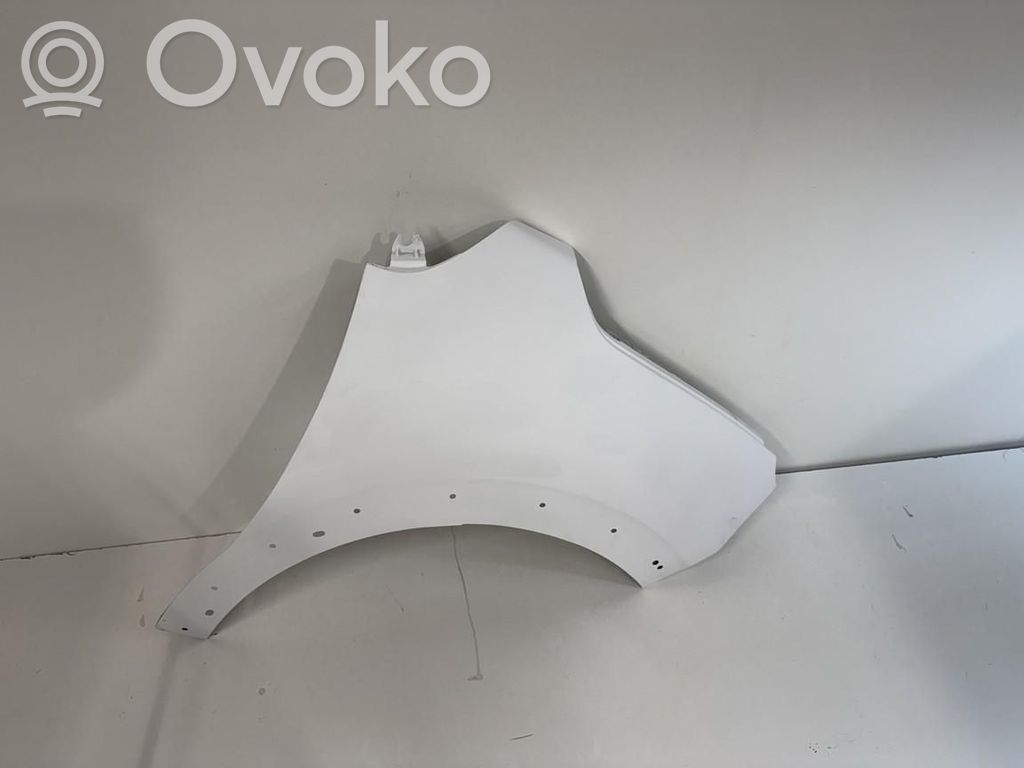 Citroen C3 Lokasuoja 
