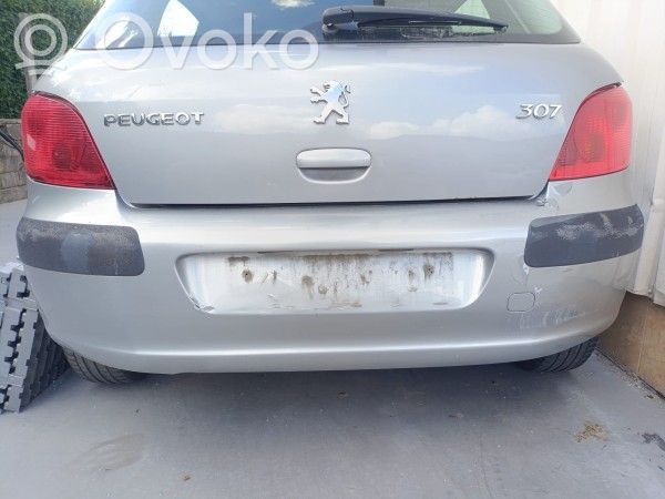 Peugeot 307 Parachoques 