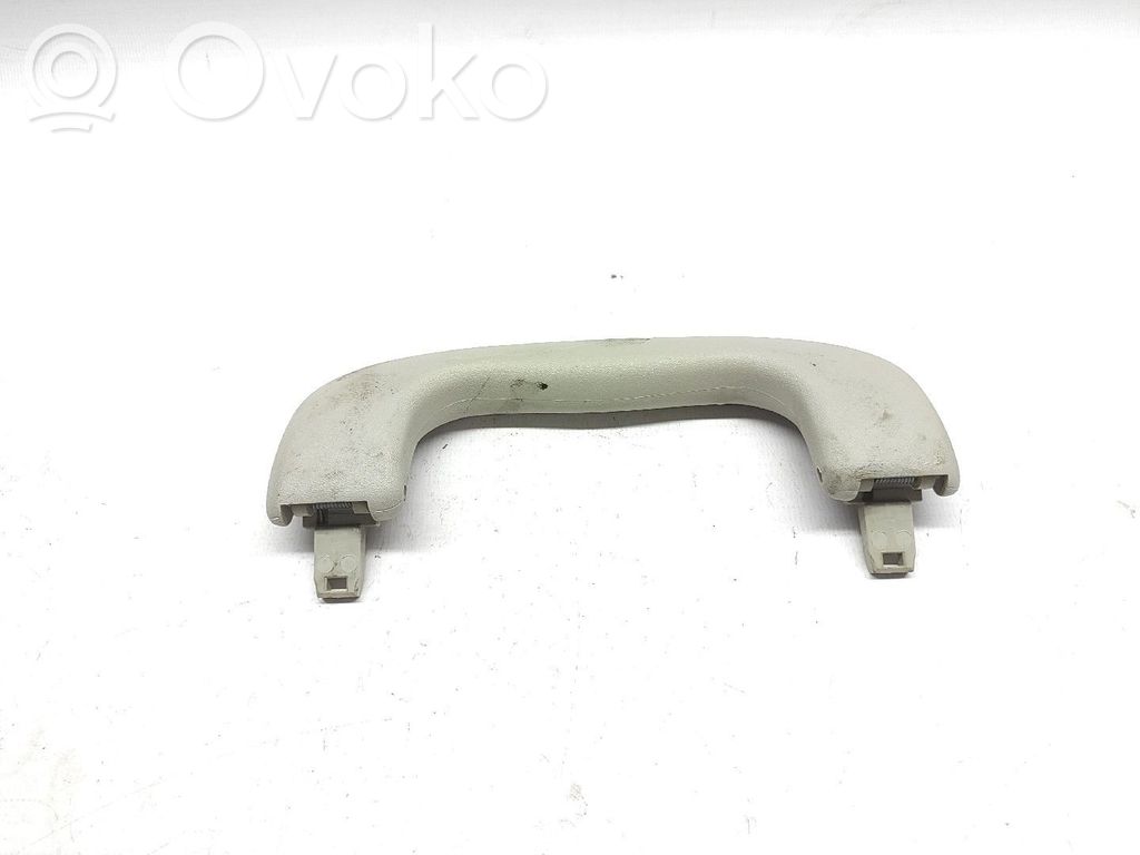 Front interior roof grab handle   TRASEIRA