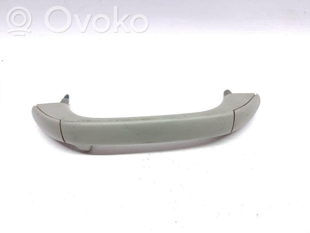 Asidero interior delantero